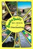 Sandra Dodd's Big Book of Unschooling