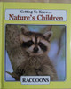 Getting To Know... Nature's Children Raccoons