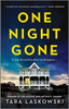 One Night Gone: A Novel