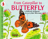 From Caterpillar to Butterfly  (Let's-Read-and-Find-Out Science, Stage 1)
