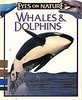 Whales & Dolphins