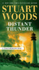 Distant Thunder (A Stone Barrington Novel)