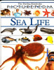 Sea Life (DK Picturepedia)