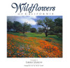 Wildflowers of California
