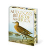 Audubon's Birds of America