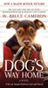 A Dog's Way Home Movie Tie-In A Novel