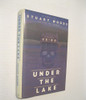 Under the lake