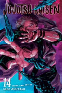 Jujutsu Kaisen, Vol. 14 (14)
