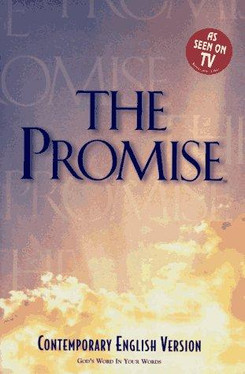 The Promise Bible God's Words in Your Words (Comtemporary English Version)