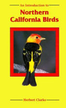 An Introduction to Northern California Birds
