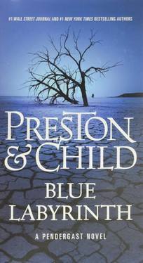 Blue Labyrinth (agent Pendergast Series (14))