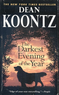 The Darkest Evening of the Year