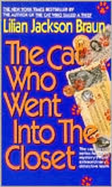 The Cat Who Went into the Closet