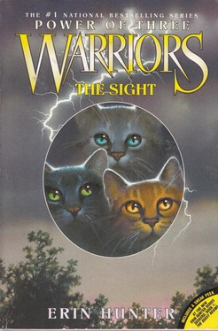 The Sight (Warriors: Power of Three, Book 1)