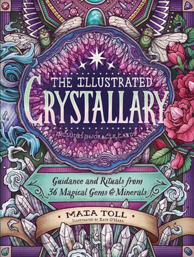The Illustrated Crystallary: Guidance and Rituals from 36 Magical Gems & Minerals (Wild Wisdom)