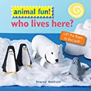 Animal Fun! Who Lives Here?: Lift the flaps to find out!