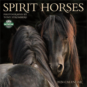2024 Wall Calendar: Spirit Horses (N)