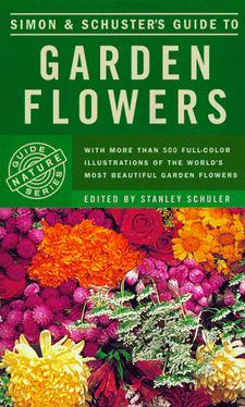 Simon and Schuster's Guide to Garden Flowers