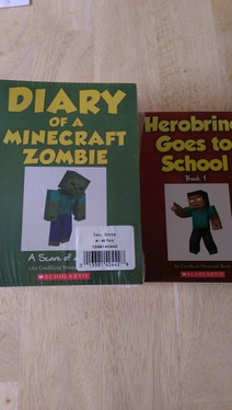 Diary of a Minecraft Zombie Set #1-9 with bonus book