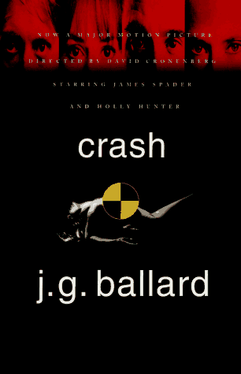 Crash: A Novel