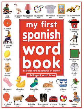 My 1st Spanish Word Book / Mi Primer Libro De Palabras EnEspanol: A Bilingual Word Book