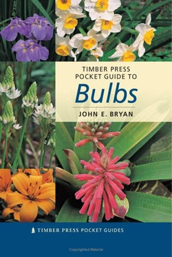 Timber Press Pocket Guide to Bulbs (TIMBER PRESS POCKET GUIDES)