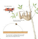 Do You Know? Pictback