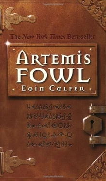 Artemis Fowl (Artemis Fowl, Book 1) (U) - SKU 162763