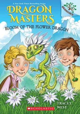 Bloom of the Flower Dragon: A Branches Book (Dragon Masters #21) (N) - SKU 163476