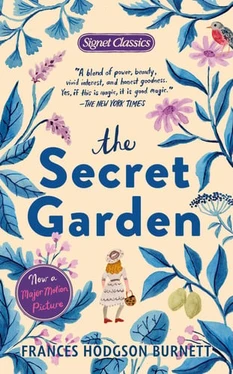 The Secret Garden (N) - SKU 166600