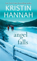 Angel Falls A Novel
