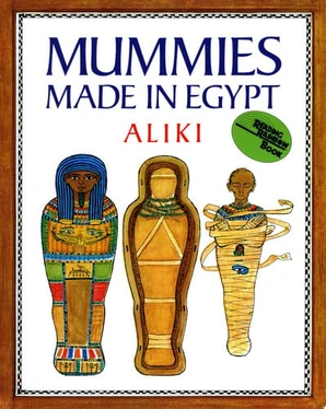 Mummies Made in Egypt (U) - SKU 169181