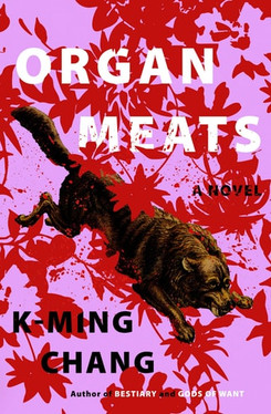 Organ Meats A Novel