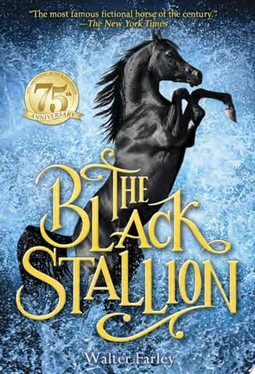 The Black Stallion (U) - SKU 170639