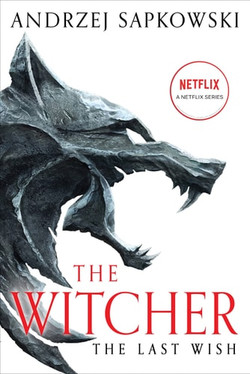 DAMAGED ITEM The Witcher: The Last Wish