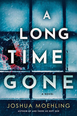 A Long Time Gone A Novel (U) - SKU 172260