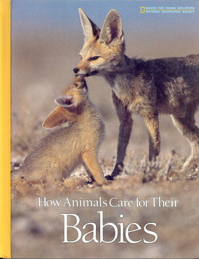 How Animals Care for Their Babies (U) - SKU 173180