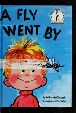 A Fly Went by