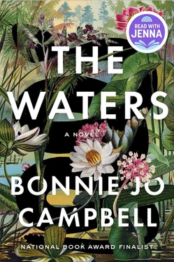 The Waters A Novel