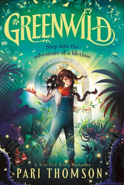 Greenwild The World Behind the Door