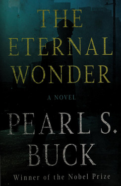 The Eternal Wonder A Novel
