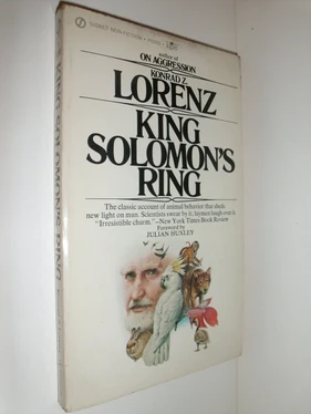 King Solomon's Ring New Light on Animal Ways