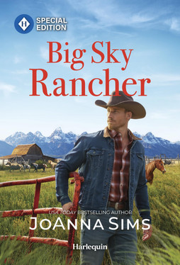 Big Sky Rancher (The Brands of Montana, 18)