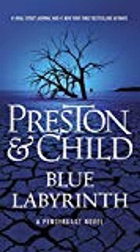 Blue Labyrinth (agent Pendergast Series (14))