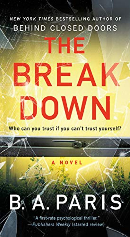 The Breakdown: A Novel
