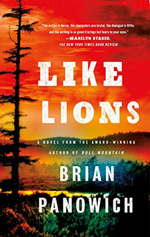 Like Lions: A Novel (Bull Mountain, 2)