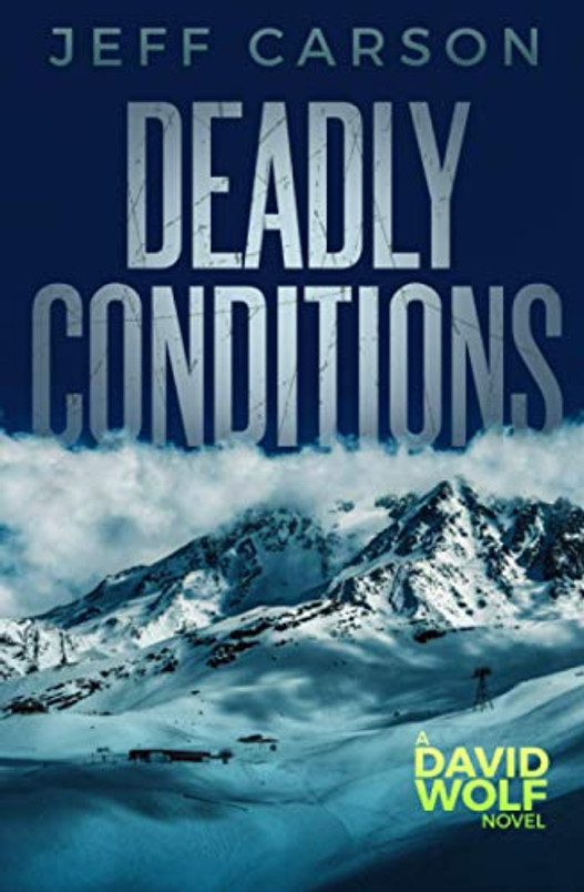 Deadly Conditions (David Wolf Mystery Thriller Series)