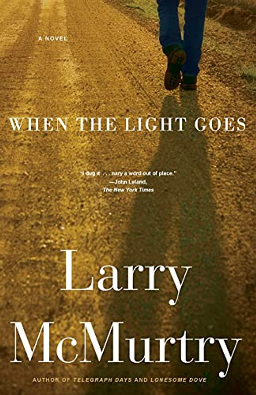 When the Light Goes: A Novel