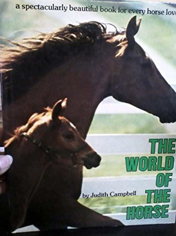 The world of the horse