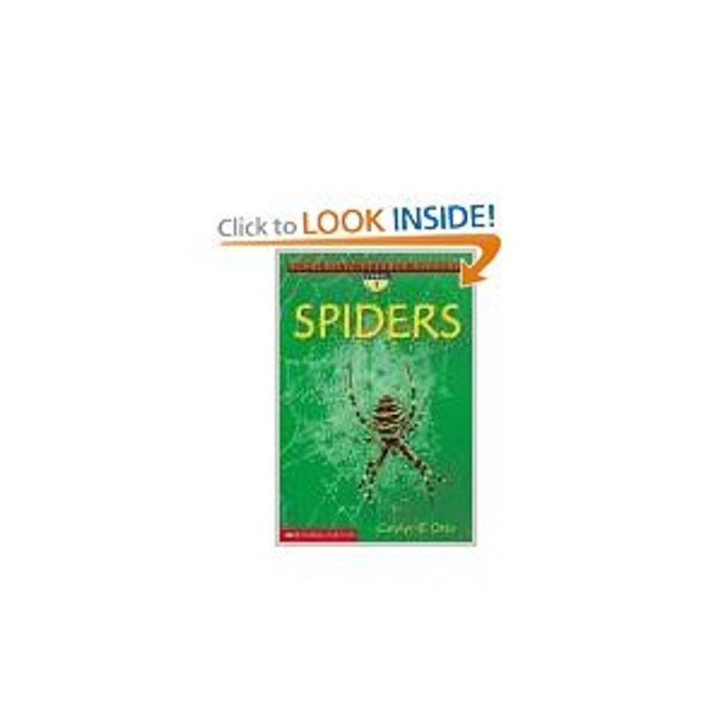 Spiders (Scholastic Science Readers)